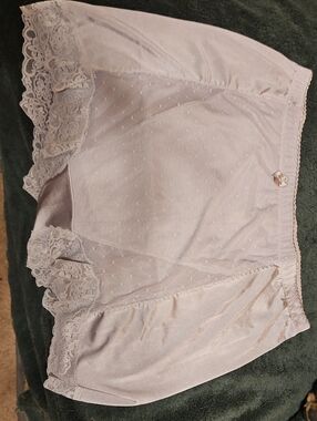 NIB Rhonda Shear Silcer Lace-Trim High-Waist Briefs